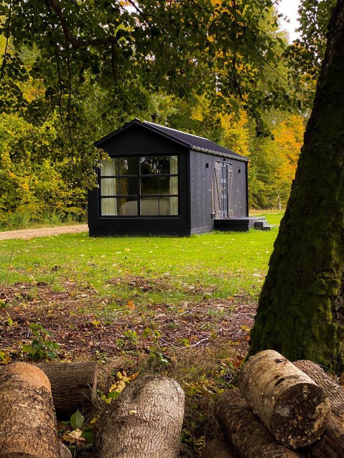 Ragnar Glamp Koknese Villa Kültér fotó